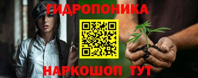a pvp Будённовск