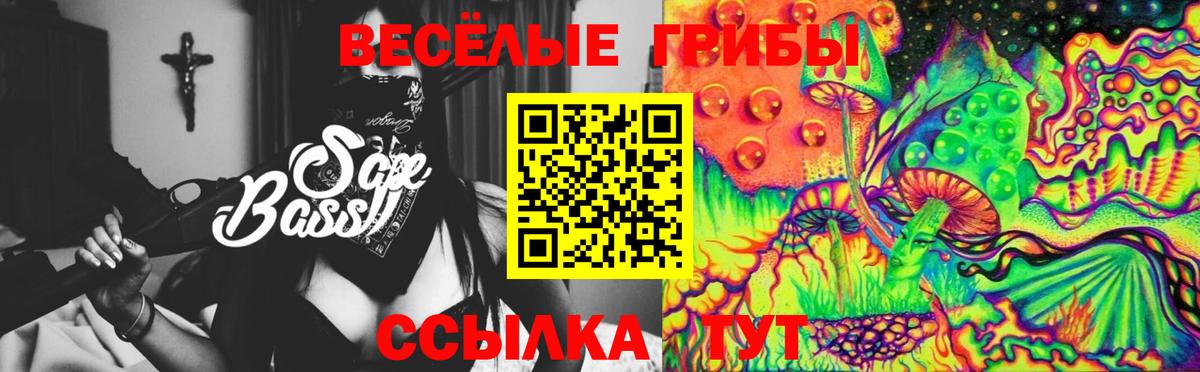 Галлюциногенные грибы Psilocybine cubensis Саратов